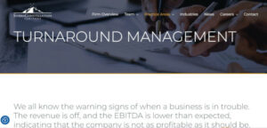 SierraConstellation Partners Turnaround Management page